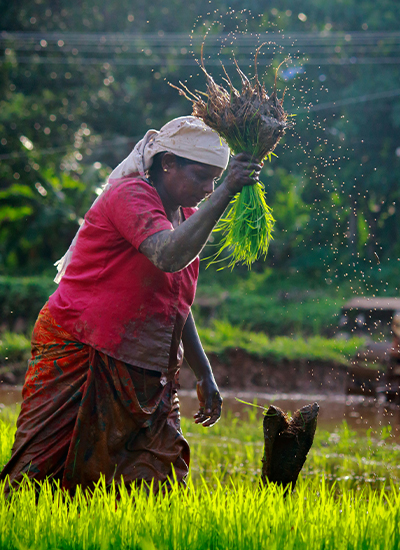 farming-img