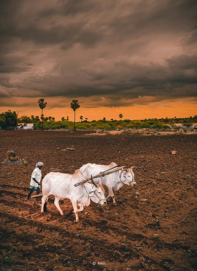 farming-img