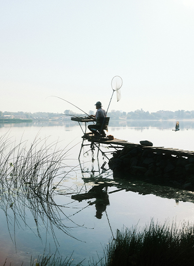 Fishery-img