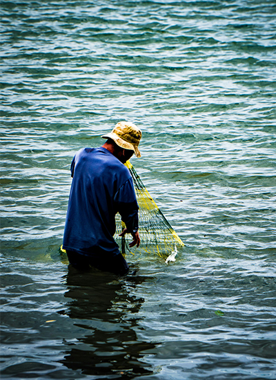 Fishery-img